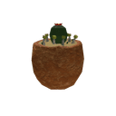 Desert Egg